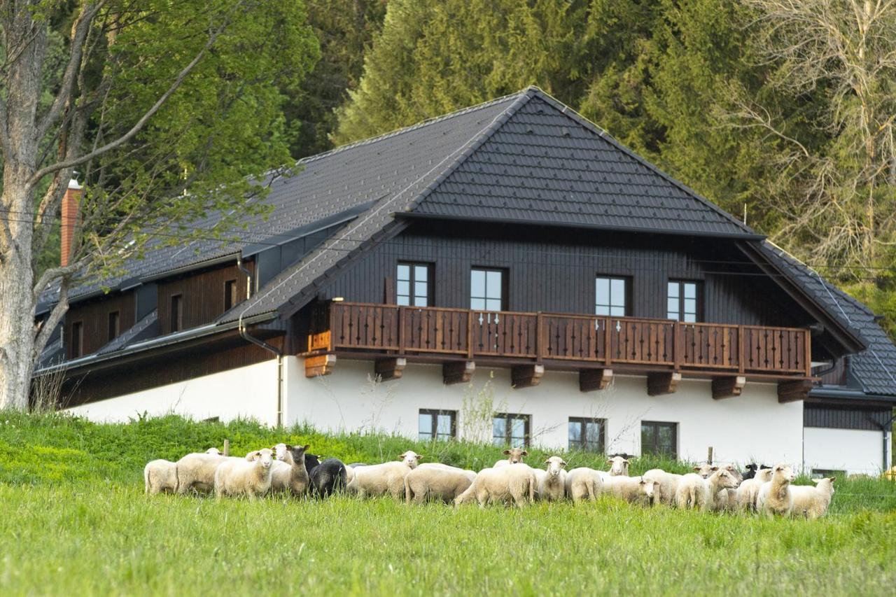 Dvur Liskovy Vrch Hotel Strazny Buitenkant foto